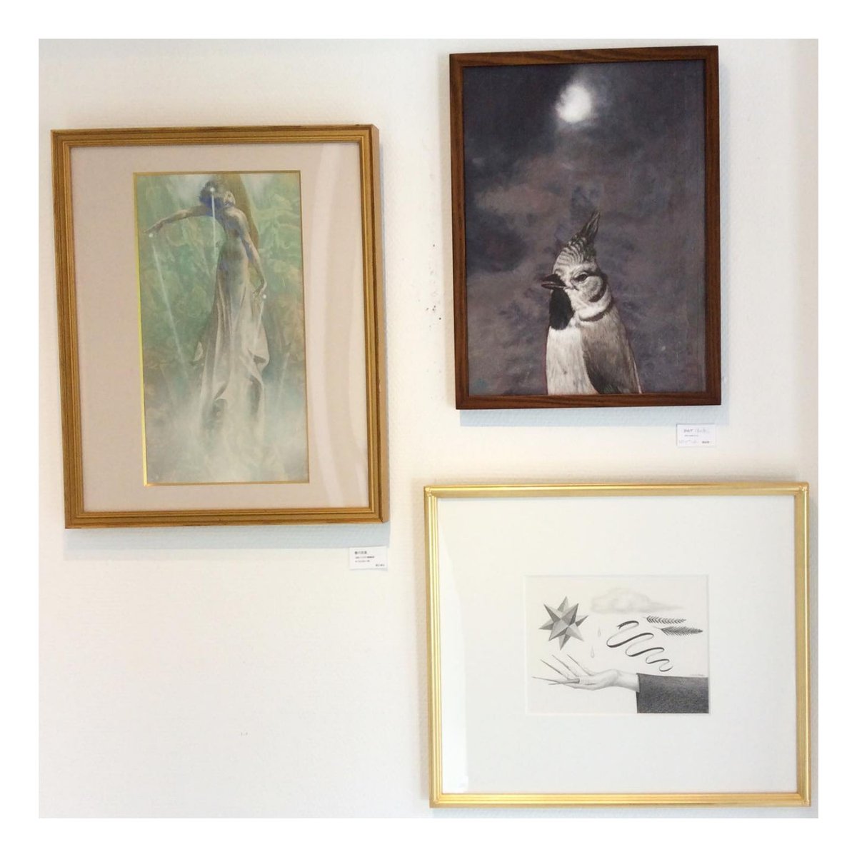 建石修志「春の流星」tateishi syuji | SPACE YUI online shop