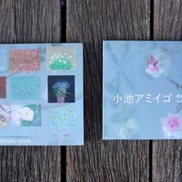 小池アミイゴ ポストカードセット（１２枚）post card set 12 amigo koike