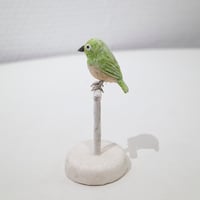金沢和寛「メジロ」kanazawa kazuhiro