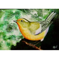 星野哲朗 「小鳥」原画作品