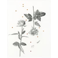 河井いづみ「すれ違う雨粒」  izumi kawai  原画