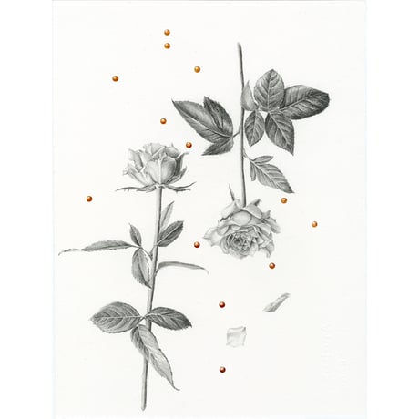 河井いづみ「すれ違う雨粒」  izumi kawai  原画