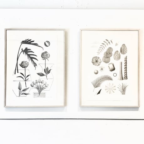 河井いづみ「弾むリビング」  izumi kawai  原画