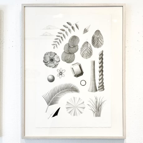 河井いづみ「森で遊ぶ」  izumi kawai  原画
