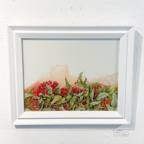PLANTS OF PLANET　門川洋子「eucalyptus」