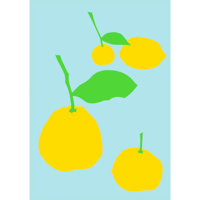 舟橋全二「檸檬たち」Zenji Funabashi「Lemon and」