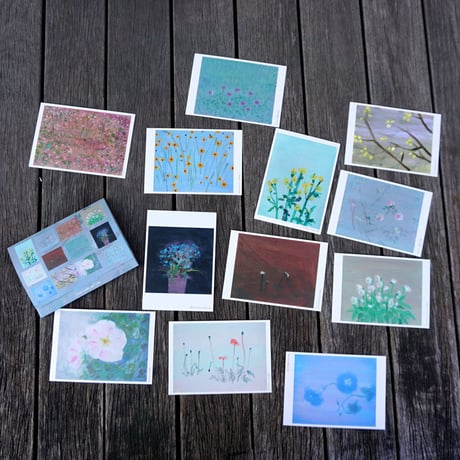 小池アミイゴ ポストカードセット（１２枚）post card set 12 amigo koike