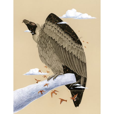河井いづみ「空を見るとき」  izumi kawai  原画