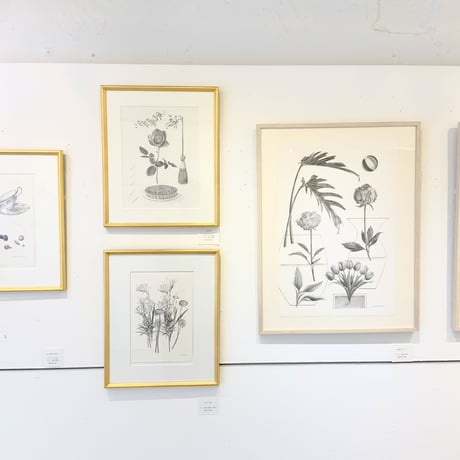 河井いづみ「甘やかな雨」  izumi kawai  原画