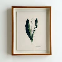 荻原美里「lily of the valley / スズラン」原画 ogihara misato