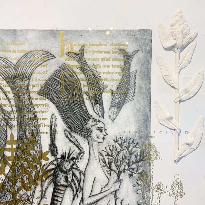 北見隆「人魚図鑑」kitami takashi | SPACE YUI online shop