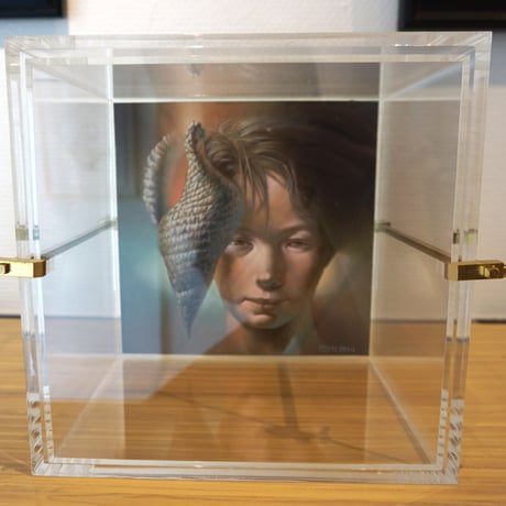 建石修志「夏の匣の少年」tateishi syuji