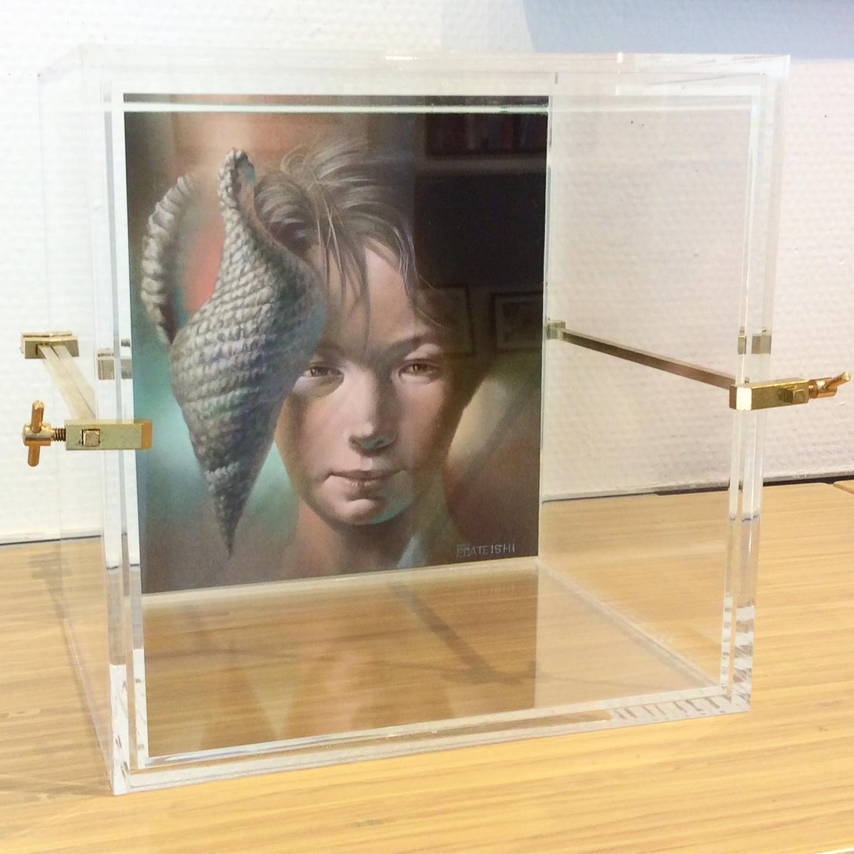 建石修志「夏の匣の少年」tateishi syuji | SPACE YUI online shop