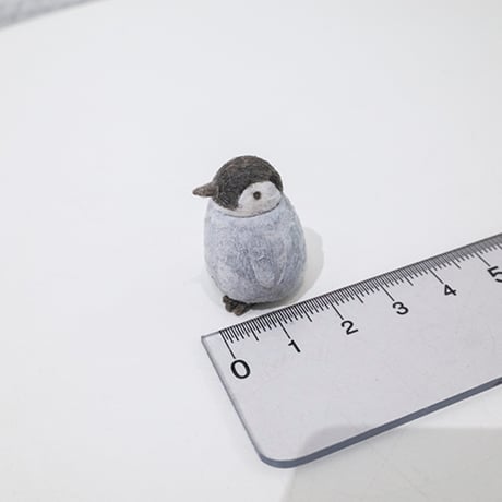金沢和寛「ペンギン赤ちゃん」kanazawa kazuhiro