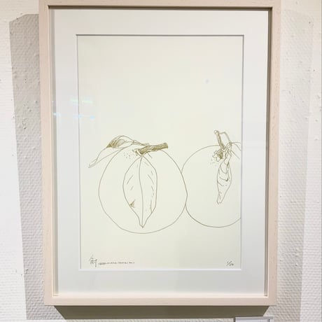 谷口広樹「BUNTAN」版画