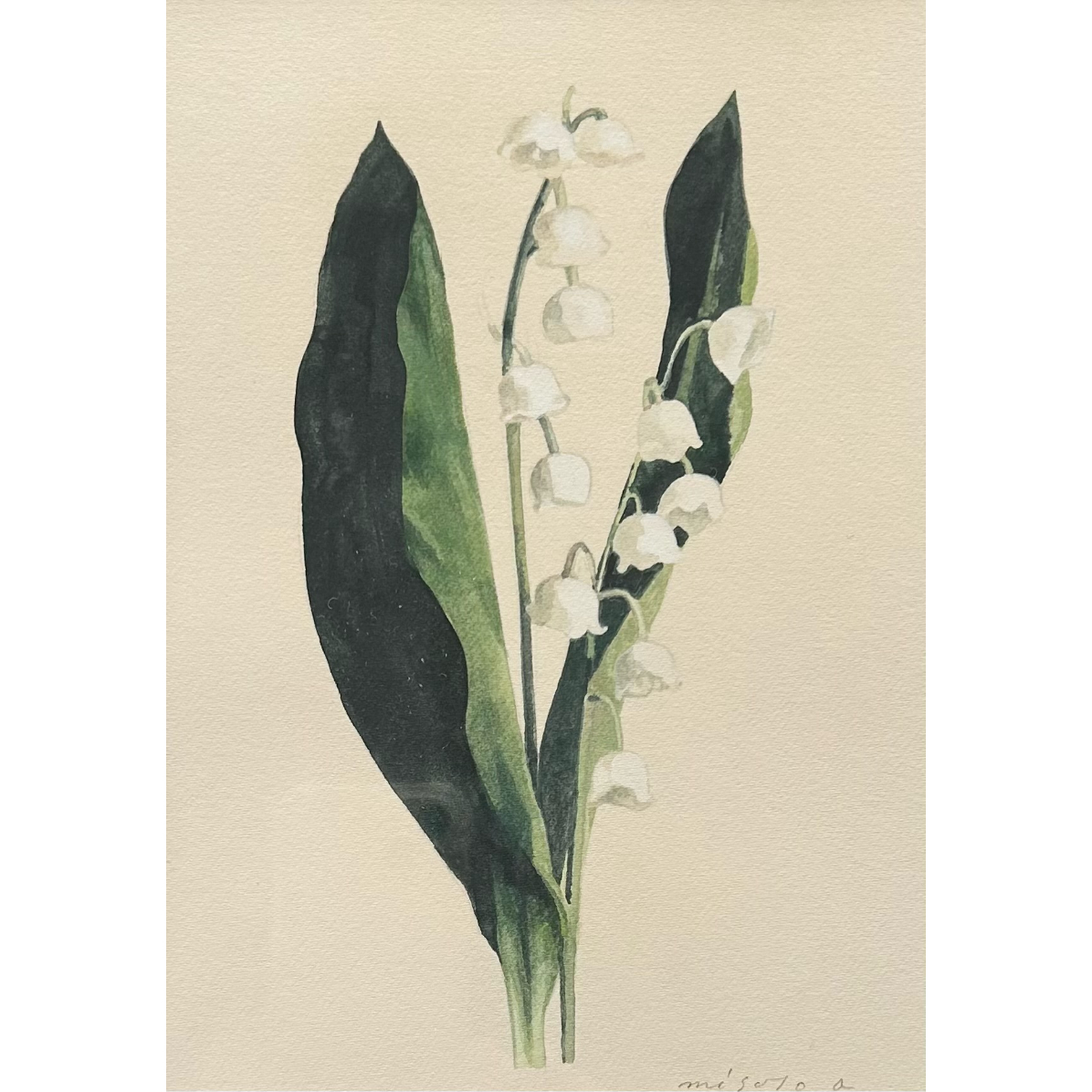 荻原美里「lily of the valley / スズラン」原画 ogihara misat 荻原美里「lily of the valley / スズラン」原画 ogihara misat