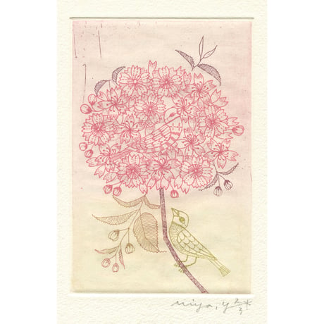 山田ミヤ「桜の蜜をすってたら、いつのまにか、かくれんぼ」
