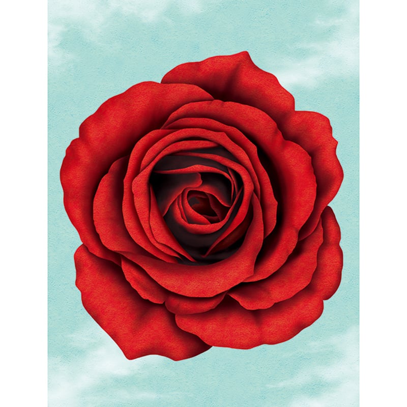 アートワークスクラクション バラ売り 山田博之「評価を気にしても答えは出ません - バラ」版画 | SPACE YUI