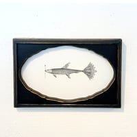 門川洋子「レースの魚」（原画）