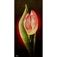 星野哲朗「開花」原画作品