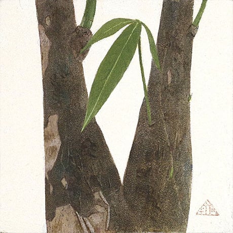 チカツタケオ「20060106 パキラ」原画  chikatsu takeo