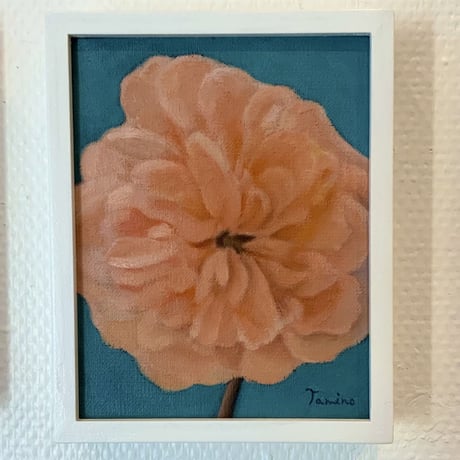 PLANTS OF PLANET　民野宏之「薔薇（Rose）オレンジ」