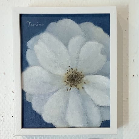 PLANTS OF PLANET　民野宏之「薔薇（Rose）白」