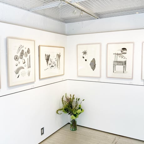 河井いづみ「森で遊ぶ」  izumi kawai  原画