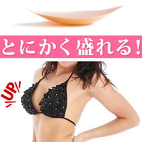 在庫処分 即日配送 送料無料 パッド ブラ 水着用 下着用 パッド 胸 ブラパッド 劇的 盛り バスト 盛れる ボリュームアップ  ne-runa-oth-688