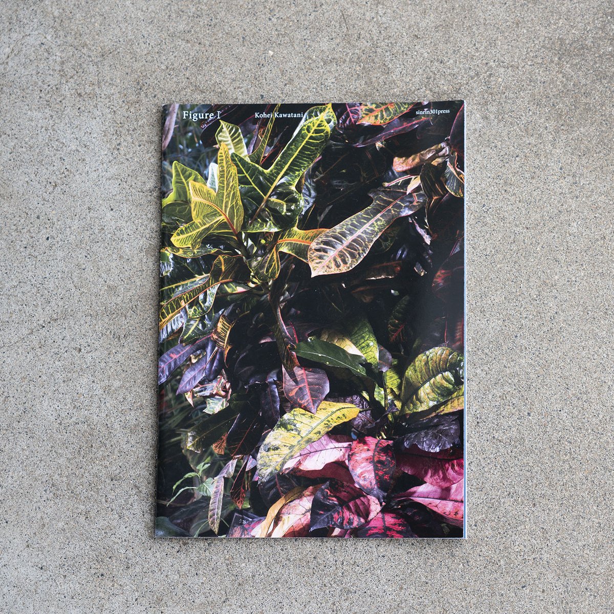 川谷光平　写真集　Figure I 限定150部 fit=scale-down,w=1200
