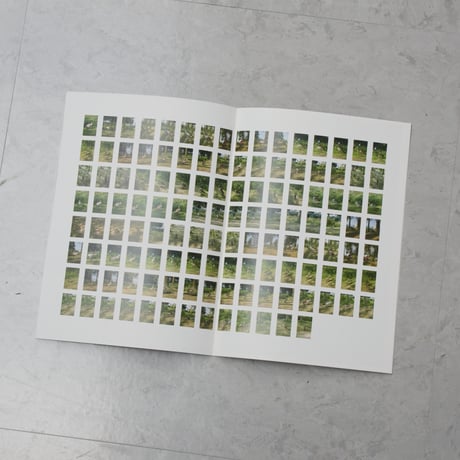 『we duck』/ 川谷光平　"we duck" / Kohei Kawatani