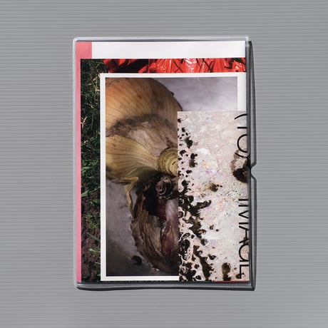 『(TO)IMAGE』/ 秦裕典　"(TO)IMAGE" / Hiromichi Hata