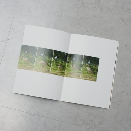 『we duck』/ 川谷光平　"we duck" / Kohei Kawatani