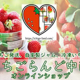 いちごらんど中西                             オンラインショップ