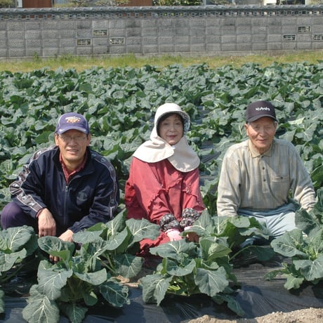 フジワラの青汁（粉末）お試しタイプ（3g×10包）｜国産有機野菜ケール100％【有機JAS認定】【普通郵便】