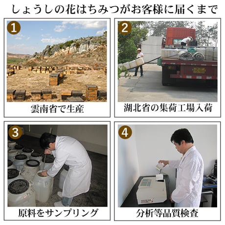 伝説のはちみつ！ショウシはちみつ1kg／中国4千年の歴史が生み出すおいしさ