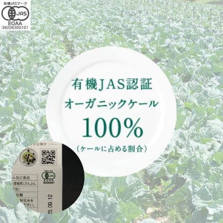 【有機JAS認証】 ケールパウダー 2g×7スティック（14g）
