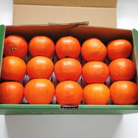 【完売御礼】山口柑橘園さんの国産オログロス（クレメンティン早生）5kg（佐賀県太良町産）【代引不可】
