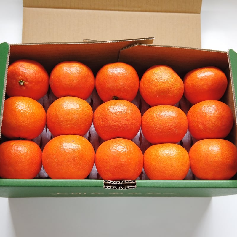 完売御礼】山口柑橘園さんの国産オログロス（クレメンティン早生）5kg