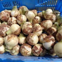 【予約販売】有機JAS 新玉ねぎ8kg（S～Lサイズ）（長崎県 百笑会）【産直便】【ばあちゃんの料理教室お墨付き！】
