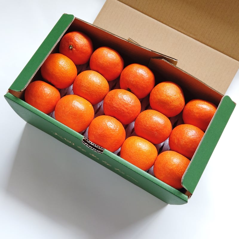 完売御礼】山口柑橘園さんの国産オログロス（クレメンティン早生）5kg