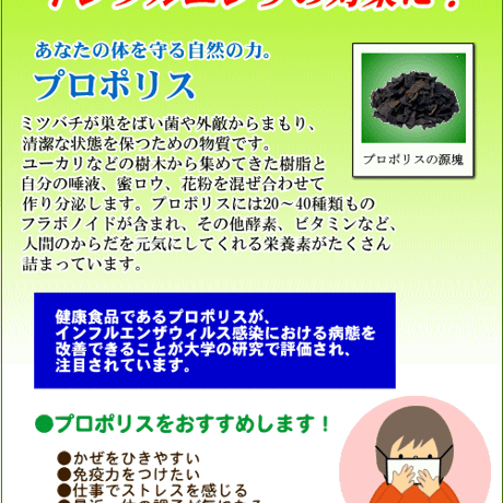 プレミアムプロポリスリキッド　60ml