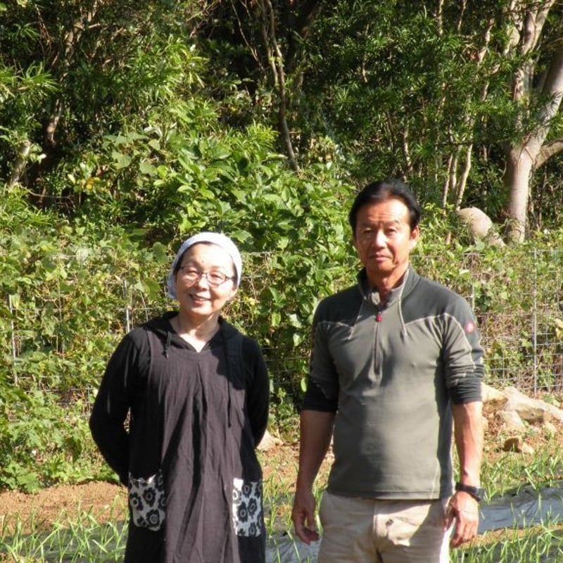 完売御礼】【有機栽培にんにく100%】健美黒にんにく45粒（160g入