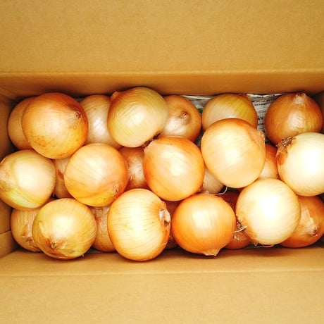 【予約販売】有機JAS 新玉ねぎ8kg（S～Lサイズ）（長崎県 百笑会）【産直便】【ばあちゃんの料理教室お墨付き！】