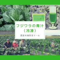 フジワラの青汁（冷凍）90ml×7パック【有機JAS認定】【国産有機野菜ケール青汁】【産直クール便】
