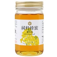 【まとめ買いスーパーセール】ブルガリア産菜の花はちみつ450g×12本セット