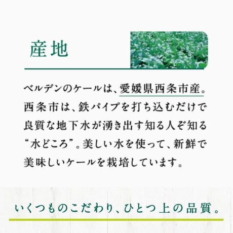 【有機JAS認証】 ケールパウダー 2g×7スティック（14g）