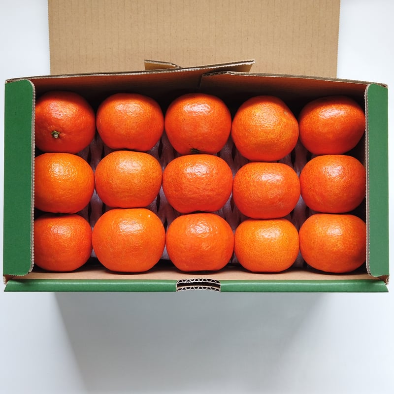 いーぐるさま専用 選べる柑橘 楽天市場】【ふるさと納税】 【S~2Lサイズおまかせ】秀品 季節のみかん