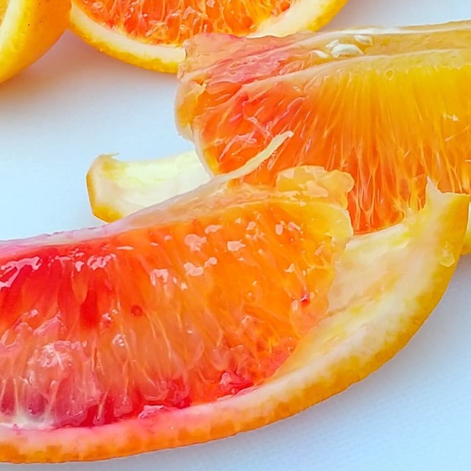 国産ブラッドオレンジの予約注文 数量限定！希少な国産ブラッドオレンジを、産地直送でお届けします。