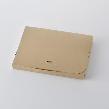 【完売御礼】玉ねぎ皮茶（2g×5パック）【送料無料】【産直便】